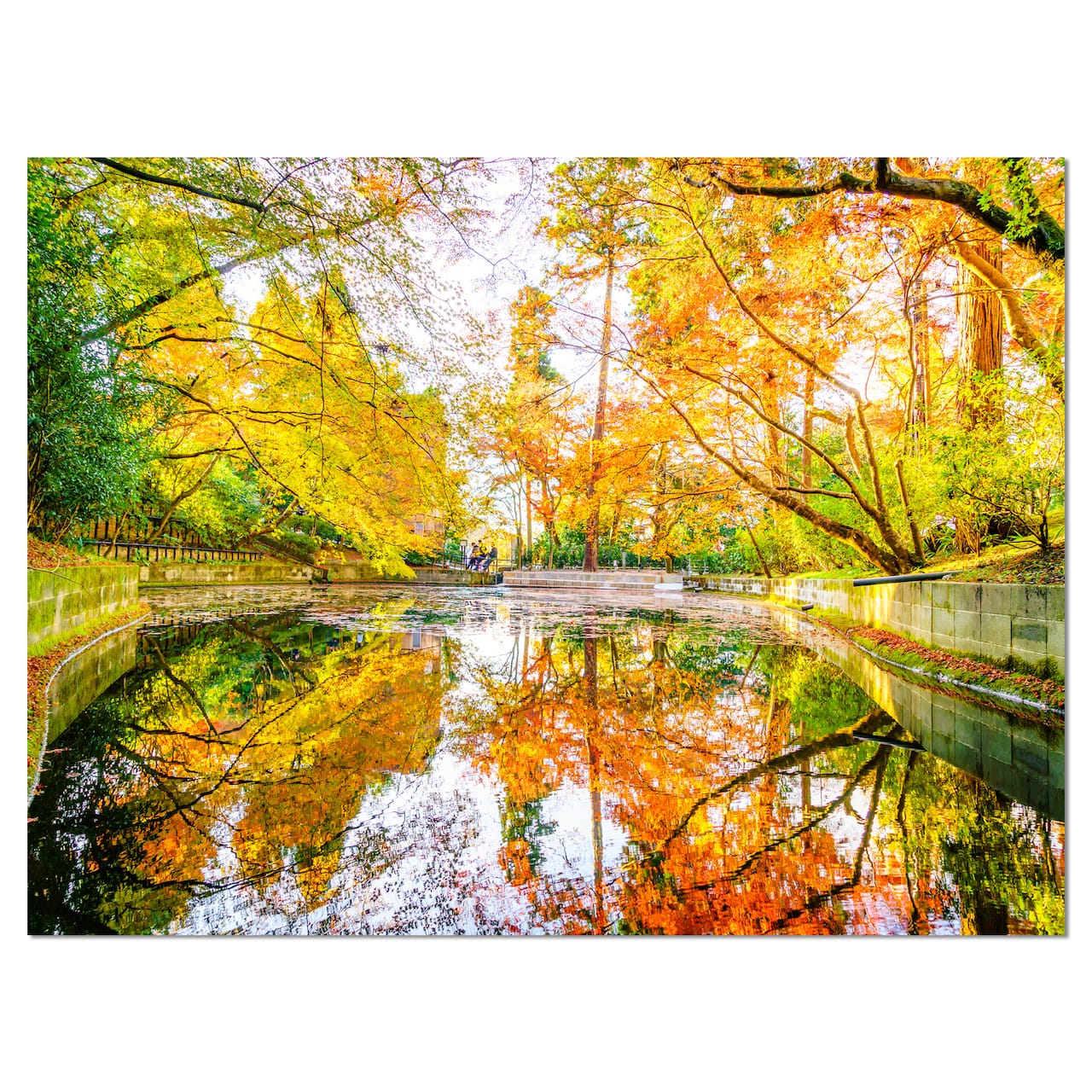 Designart - Bright Fall Forest with River - Landscape Canvas Art Print